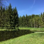 СЫЧЕВО